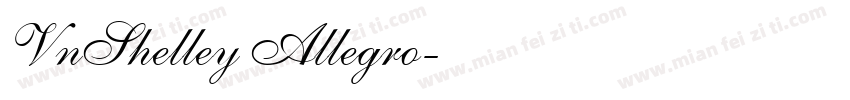 VnShelley Allegro字体转换